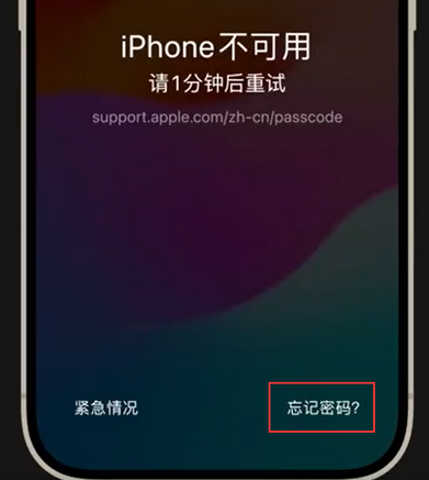 南城苹果手机密码维修分享iPhone忘记了刚设置的密码 