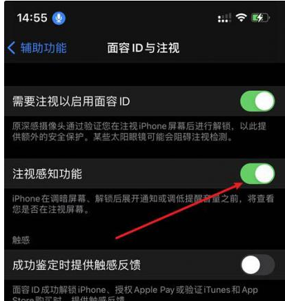 南城苹果14维修网点分享iPhone14注视感知功能有什么用 