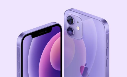 南城苹果手机维修分享紫色版iPhone 12有什么技术亮点 
