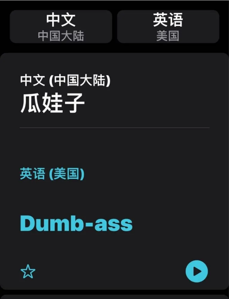 南城苹果手机维修分享iOS14的“翻译太懂了”怎么用 